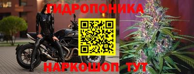 соль курить ск Тулун